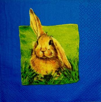 031 Rabbits:  natürlich - 3-ply (yellow) - Home Fashion